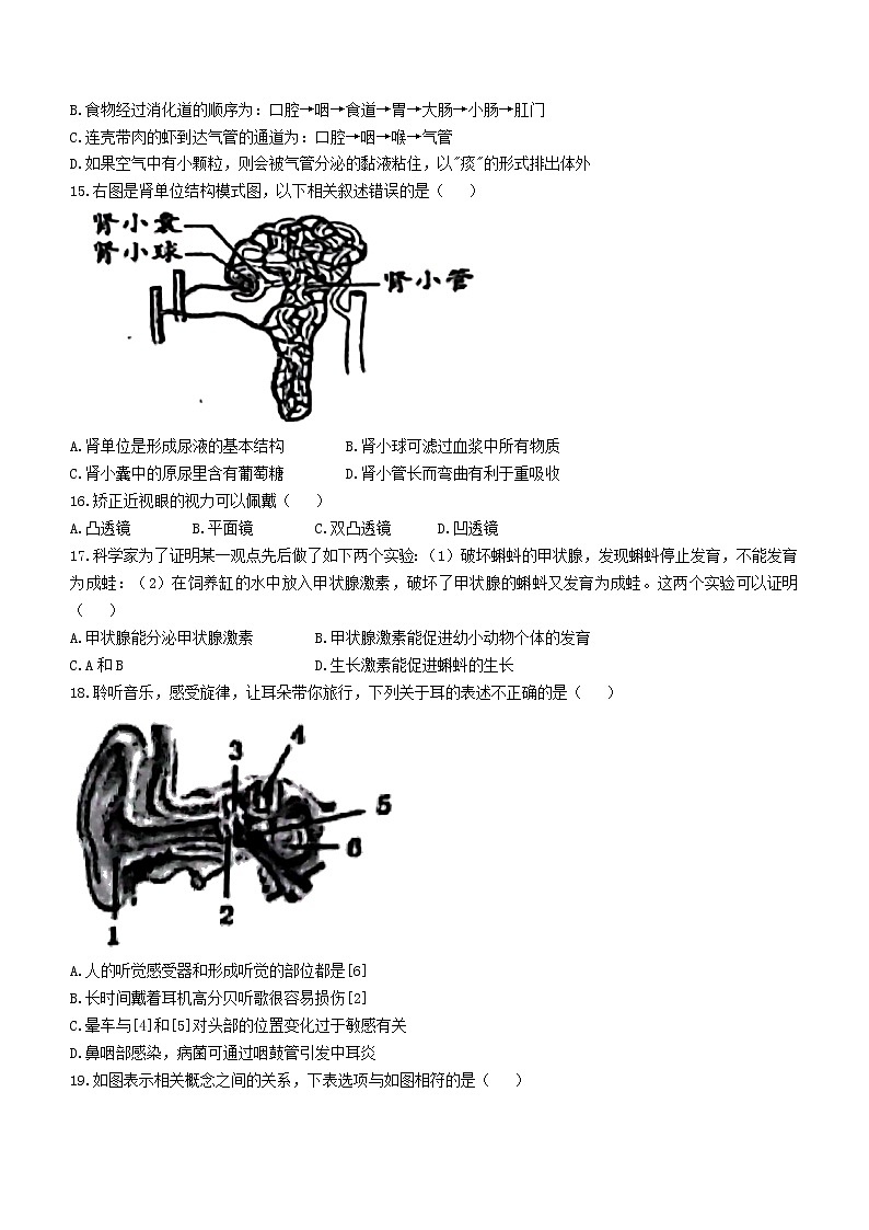 2022年山东省聊城市高唐县中考二模生物试题（有答案）第3页