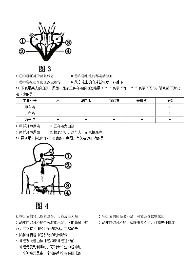 2022年广西贺州市中考二模生物试题（有答案）03