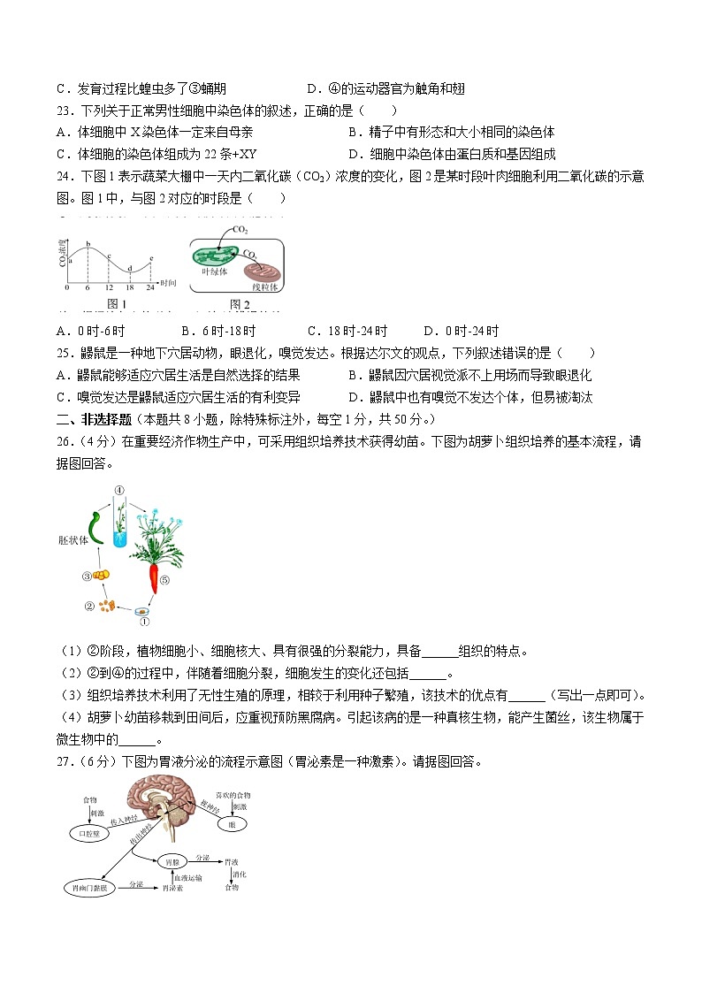 2022年福建省厦门市中考一模生物试题（有答案）第3页