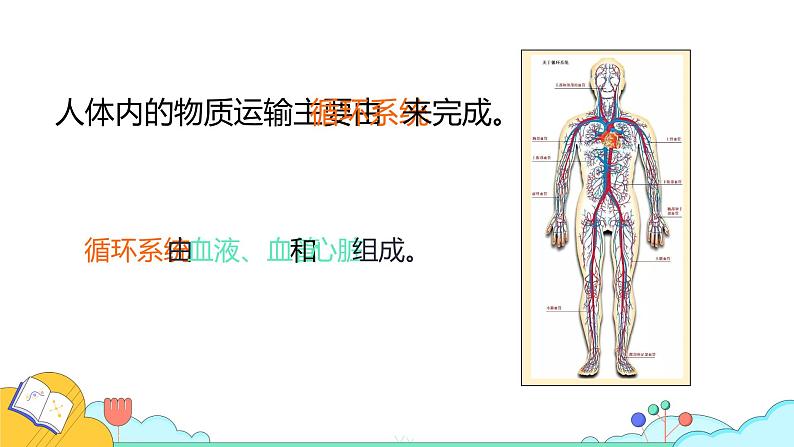 4.4.1 流动的组织——血液（28张）-人教版生物七年级下册课件第4页