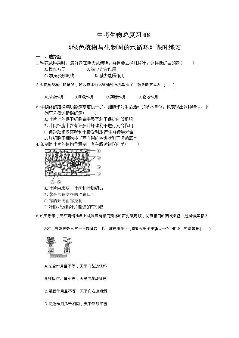 中考生物总复习08《绿色植物与生物圈的水循环》课时练习（含答案）第1页