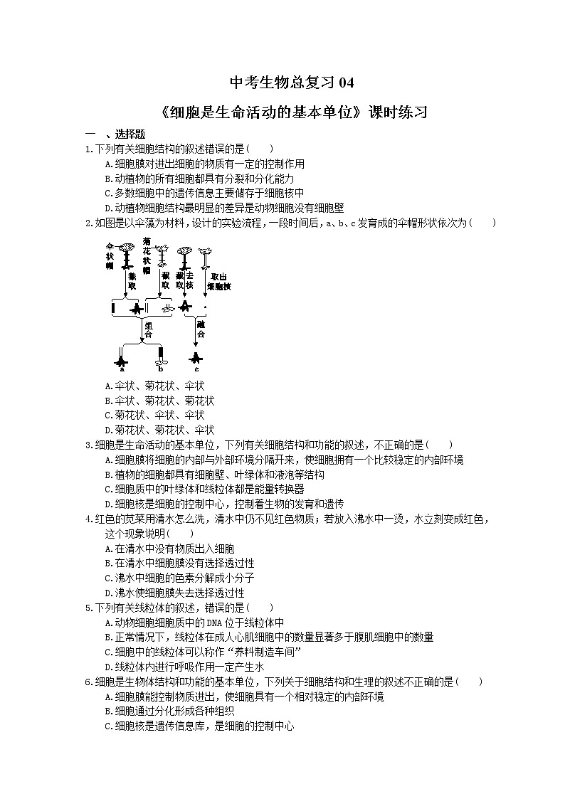 中考生物总复习04《细胞是生命活动的基本单位》课时练习（含答案）01