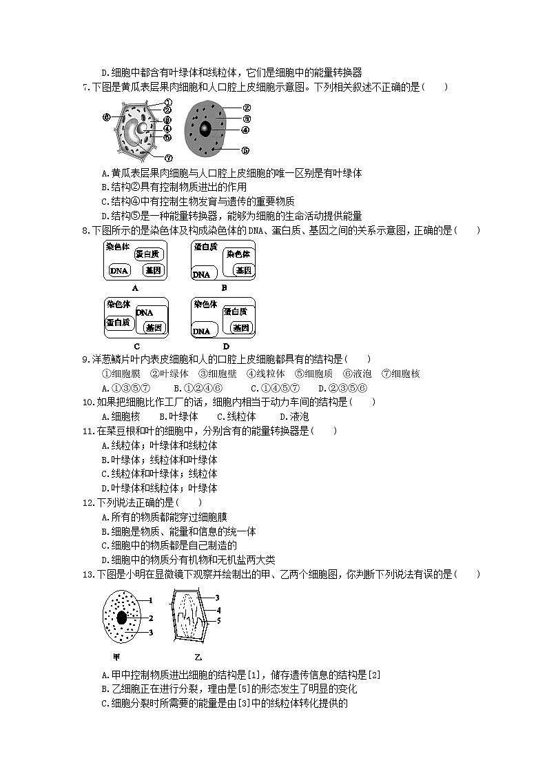 中考生物总复习04《细胞是生命活动的基本单位》课时练习（含答案）02