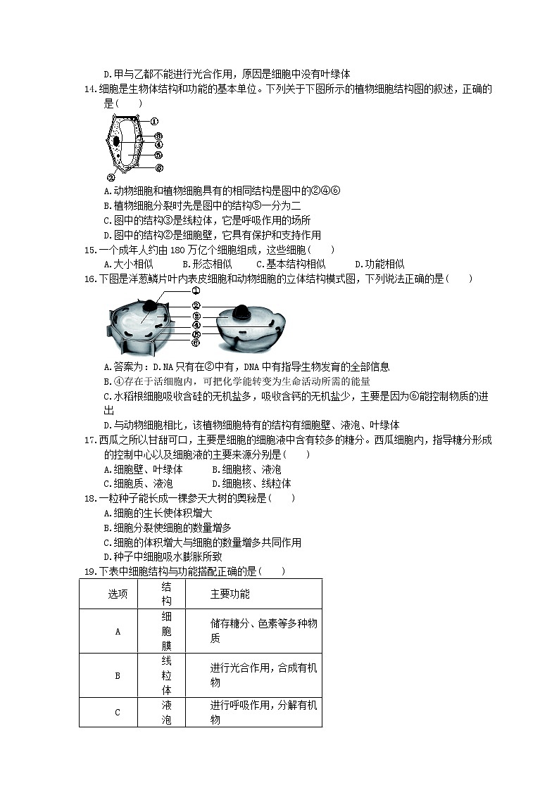 中考生物总复习04《细胞是生命活动的基本单位》课时练习（含答案）03