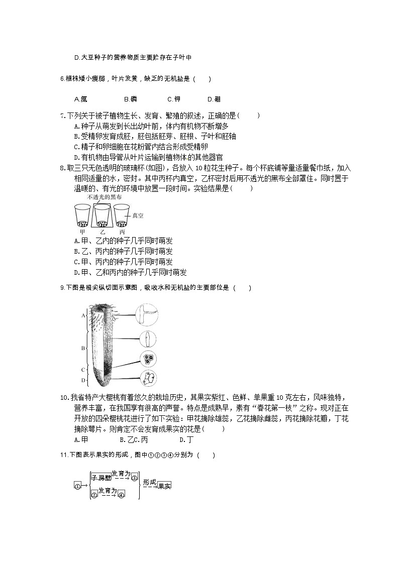 中考生物总复习07《被子植物的一生》课时练习（含答案）第2页
