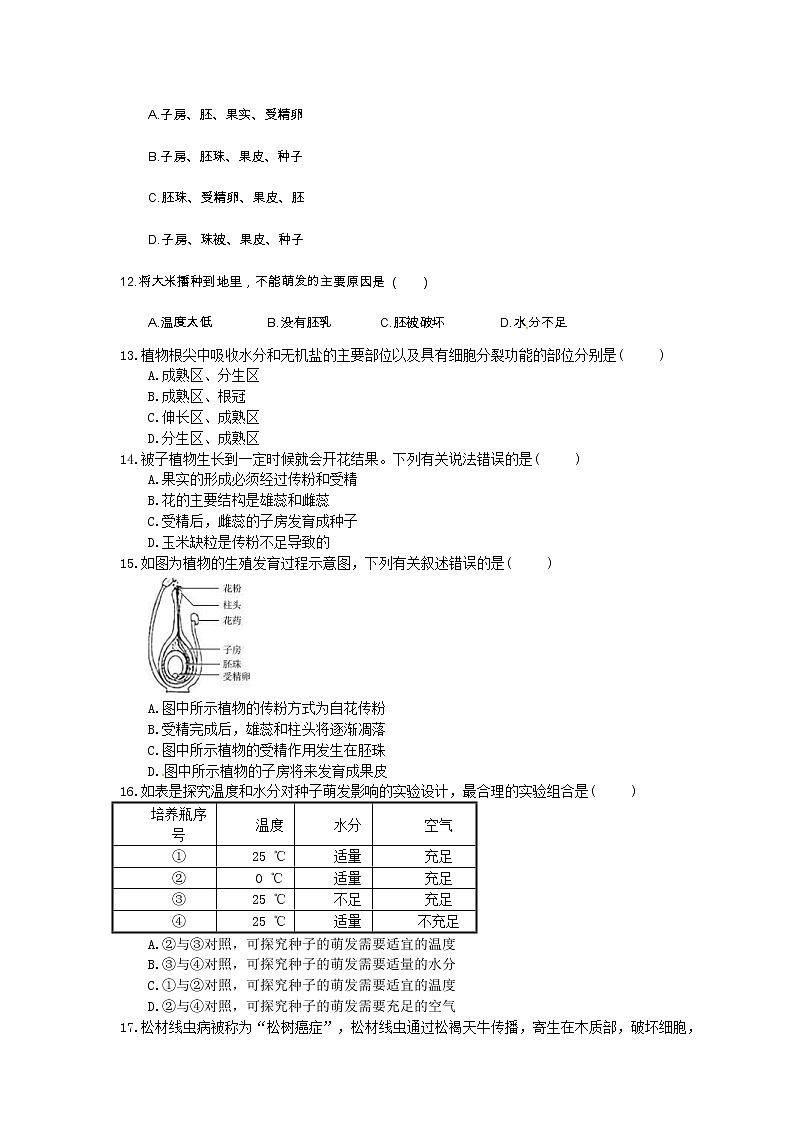 中考生物总复习07《被子植物的一生》课时练习（含答案）第3页