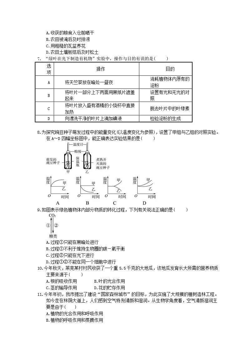 中考生物总复习10《绿色植物的呼吸作用》课时练习（含答案）第2页