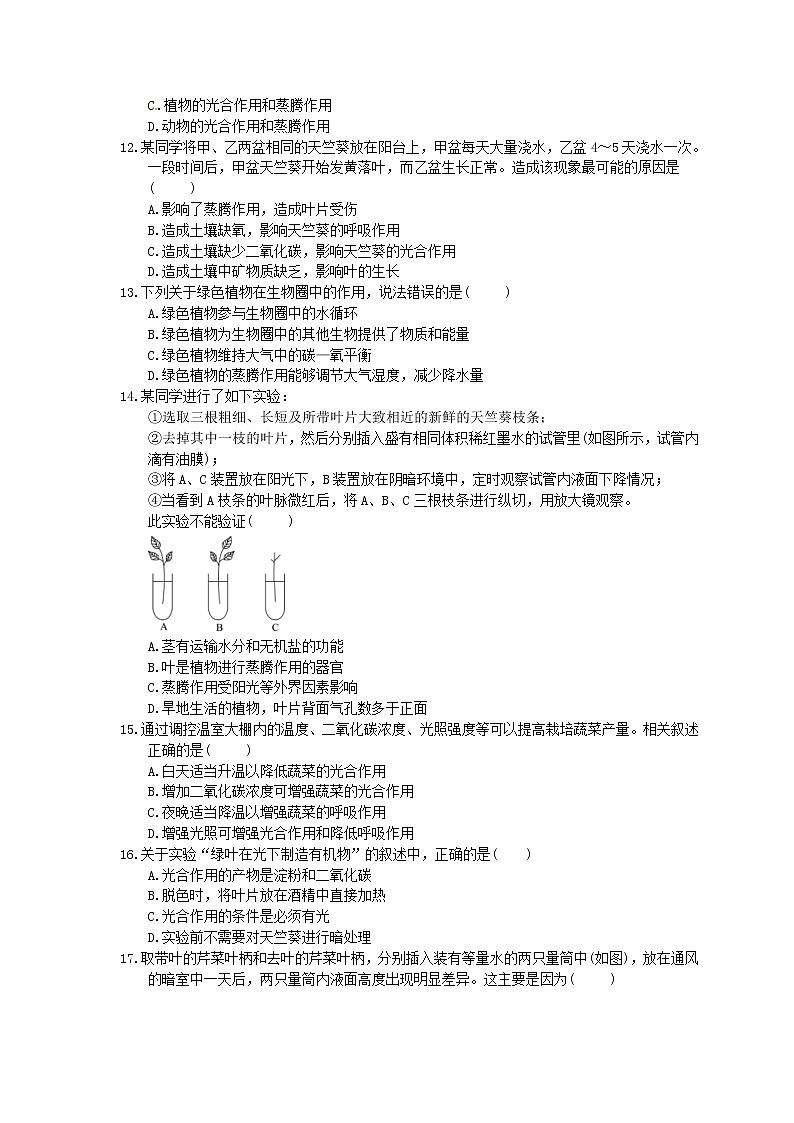中考生物总复习10《绿色植物的呼吸作用》课时练习（含答案）第3页