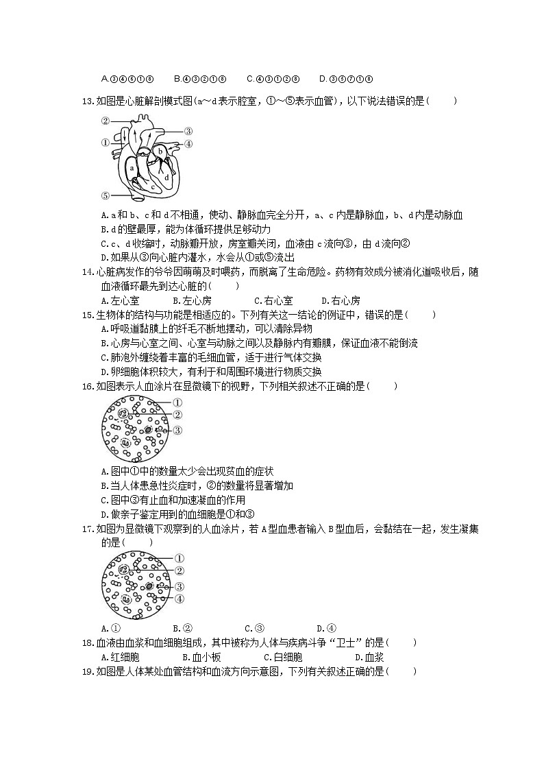 中考生物总复习13《人体内物质的运输》课时练习（含答案）第3页