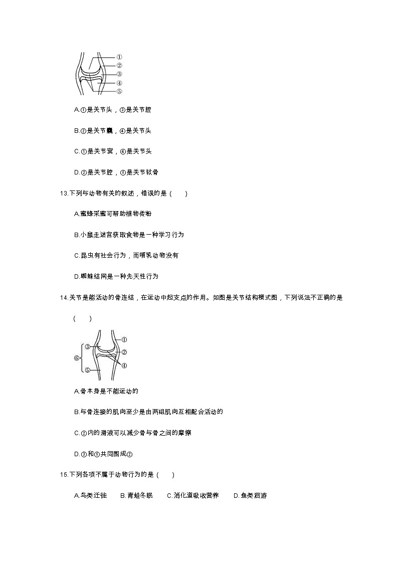 中考生物总复习19《动物的运动和行为》课时练习（含答案）第3页