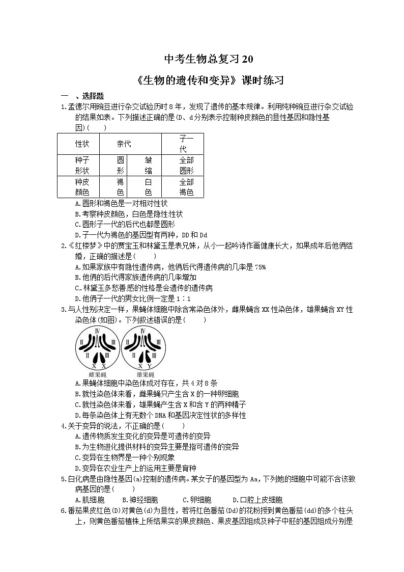 中考生物总复习20《生物的遗传和变异》课时练习（含答案）第1页