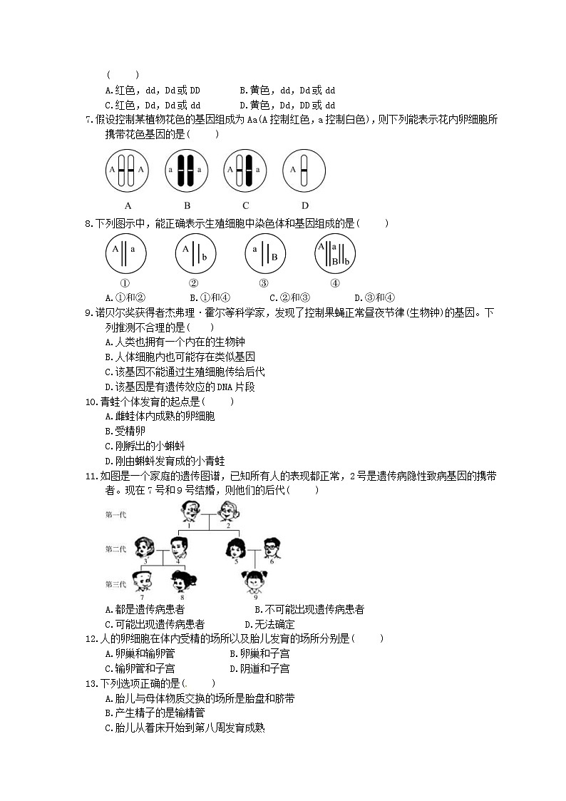 中考生物总复习20《生物的遗传和变异》课时练习（含答案）第2页