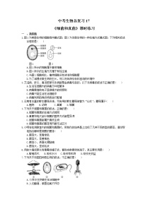 中考生物总复习20《细菌和真菌》课时练习（含答案）