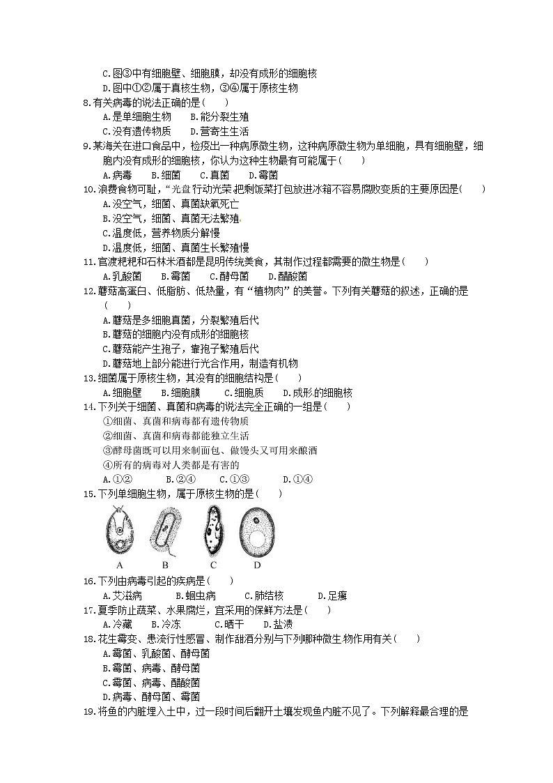 中考生物总复习20《细菌和真菌》课时练习（含答案）第2页