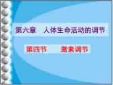 鲁科版（五四学制）生物七年级下册 4.1.4 激素调节 课件