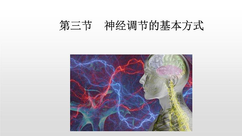 鲁科版（五四学制）生物七年级下册 4.1.3 神经调节的基本方式 课件01