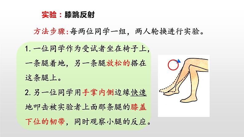 鲁科版（五四学制）生物七年级下册 4.1.3 神经调节的基本方式 课件03