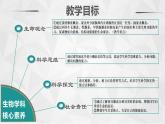 12.3激素调节课件-北师大版七年级生物下册（2021年市优质课大赛作品） (1)