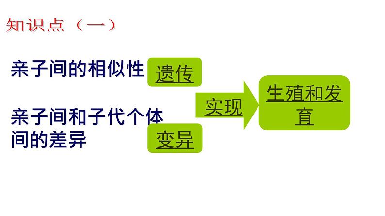 鲁科版（五四学制）生物八年级下册 8.2.2基因控制生物的性状 课件05