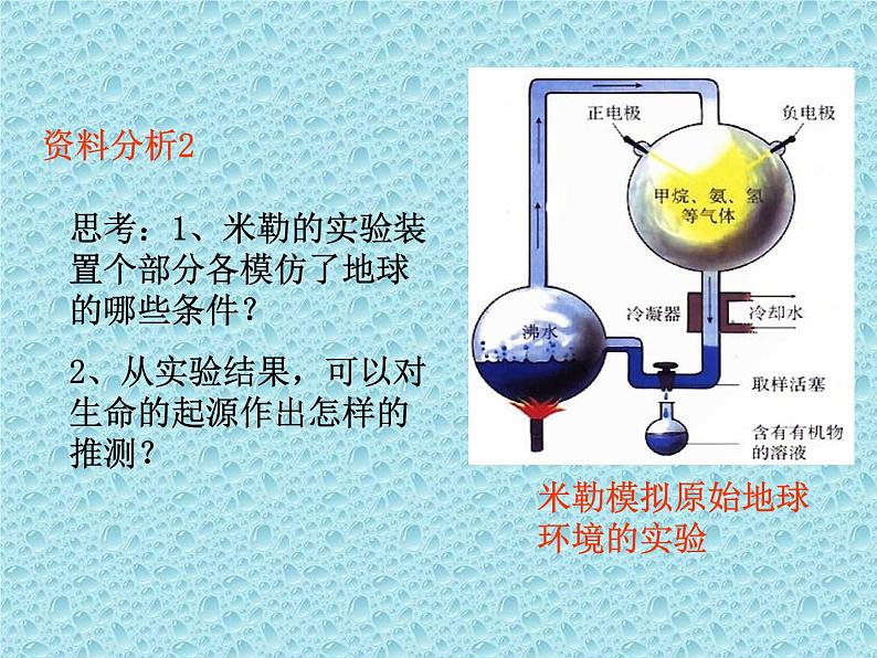 鲁科版（五四学制）生物八年级下册 8.3.1地球上生命的起源  课件06