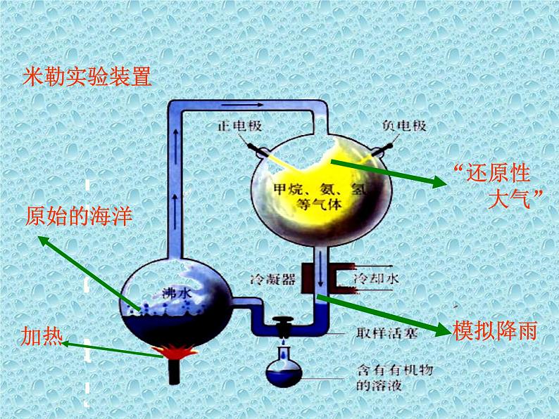 鲁科版（五四学制）生物八年级下册 8.3.1地球上生命的起源  课件07