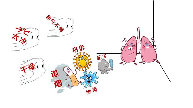 初中生物苏科版七年级上册 人体的呼吸部优课件05