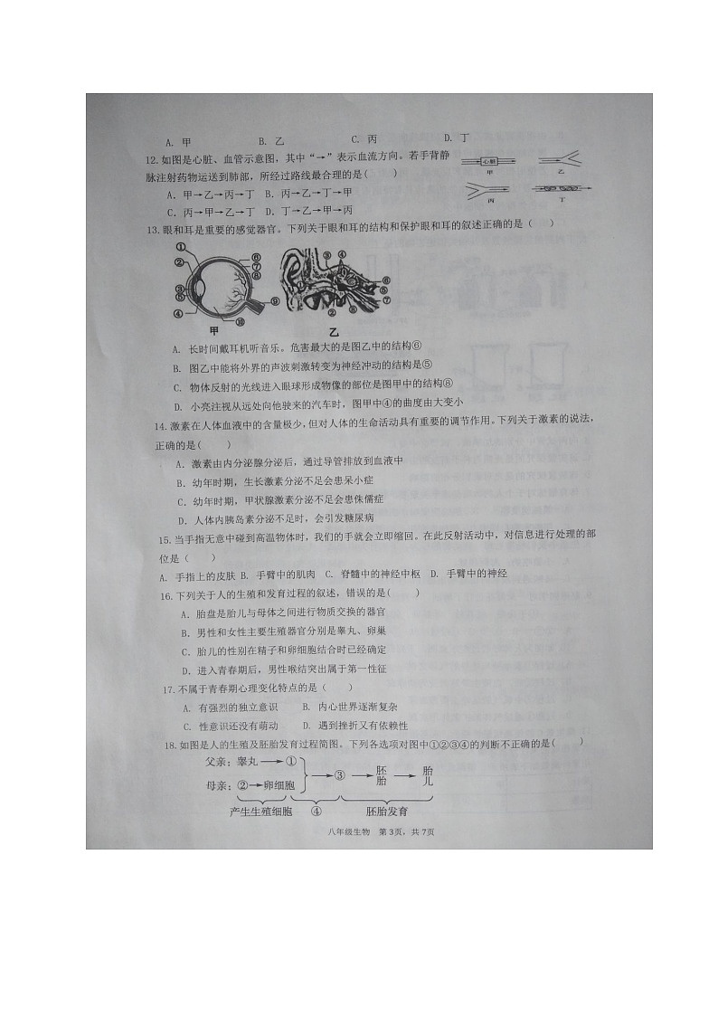 山东省滨州市阳信县2021-2022学年八年级下学期期中考试生物试题（含答案）第3页
