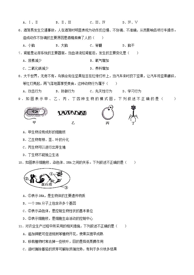 2021年广西百色市中考生物试题（解析版）02