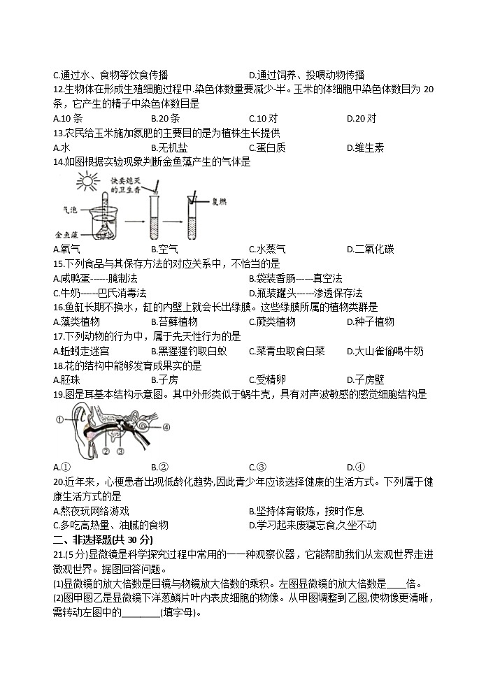 2021年吉林省中考生物试题（解析版）02