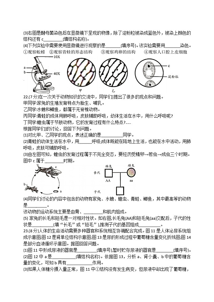 2021年吉林省中考生物试题（解析版）03