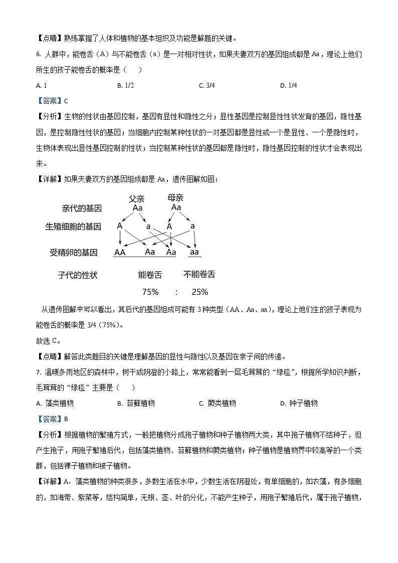 2021年湖北省咸宁市中考生物试题（解析版）03