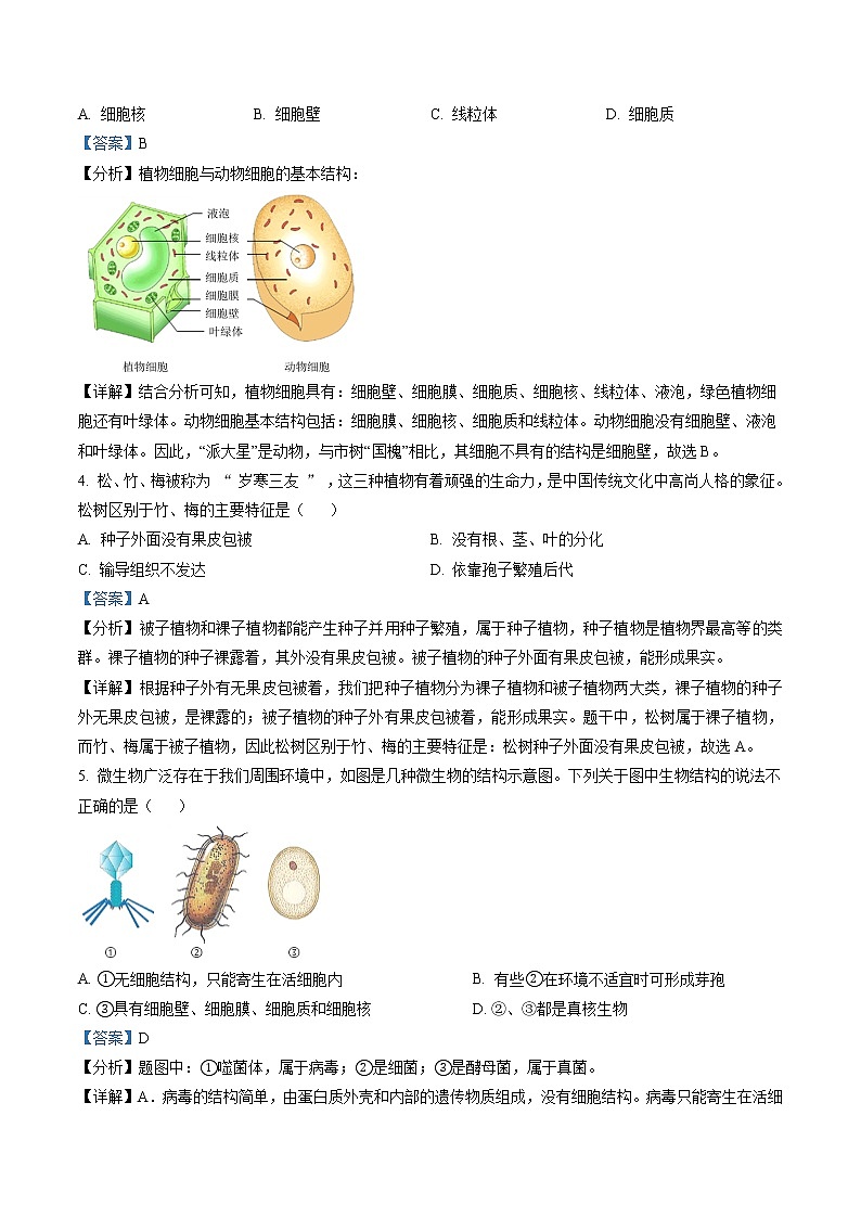 2021年山东省济宁市中考生物试题（解析版）02