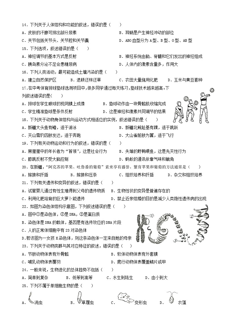 2021年新疆中考生物试题（解析版）第2页