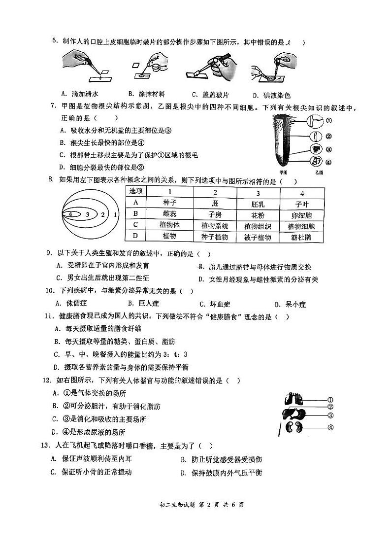 2022年广东省深圳市罗湖区初中学业水平调研考试（二模）生物卷及答案02