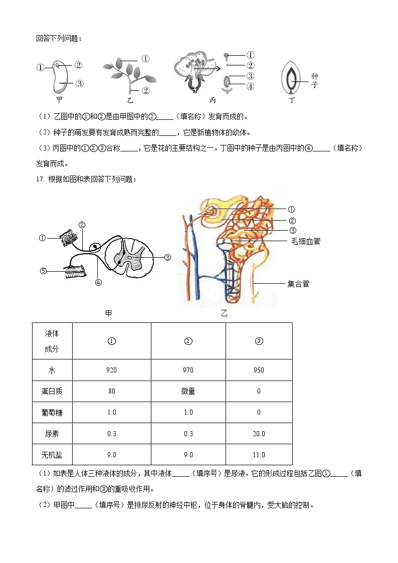 精品解析：广西河池市2020年中考生物试题(解析版+原卷板)03