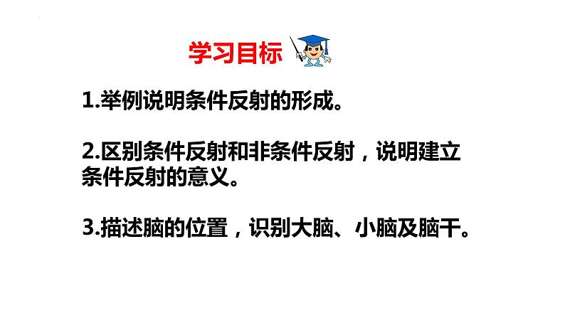 2-4-3信息的处理（二、条件反射）-【备课优选】2021-2022学年七年级生物下学期同步精品课件（冀少版）03