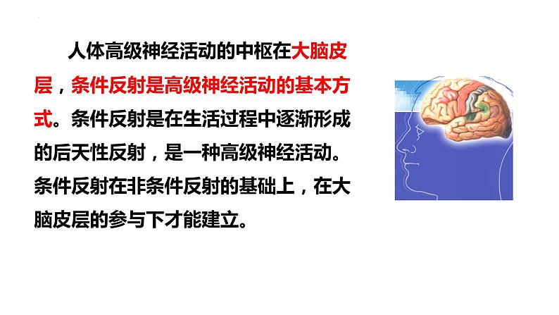 2-4-3信息的处理（二、条件反射）-【备课优选】2021-2022学年七年级生物下学期同步精品课件（冀少版）06