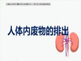 4-5人体内代谢废物的排出-2021-2022学年七年级生物下学期同步精品课件（人教版）