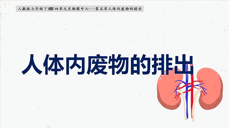 4-5人体内代谢废物的排出-2021-2022学年七年级生物下学期同步精品课件（人教版）01