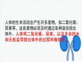 4-5人体内代谢废物的排出-2021-2022学年七年级生物下学期同步精品课件（人教版）