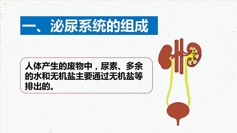 4-5人体内代谢废物的排出-2021-2022学年七年级生物下学期同步精品课件（人教版）05