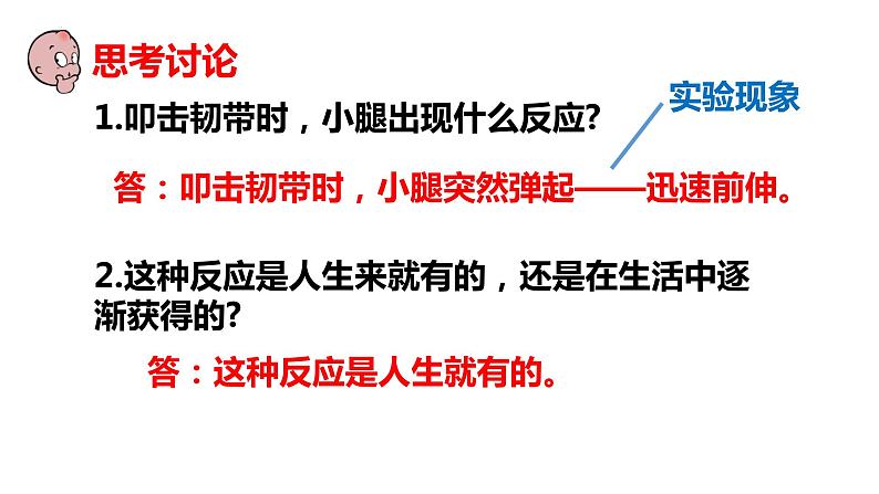 2-4-3信息的处理（一、神经调节的基本方式——反射）-【备课优选】2021-2022学年七年级生物下学期同步精品课件（冀少版）05