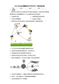 2022年山东省聊城市茌平区中考一模生物试题(word版含答案)