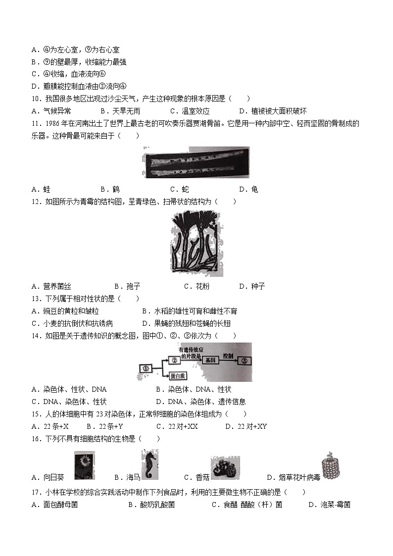 2022年陕西省宝鸡市陈仓区中考二模生物试题（有答案）02