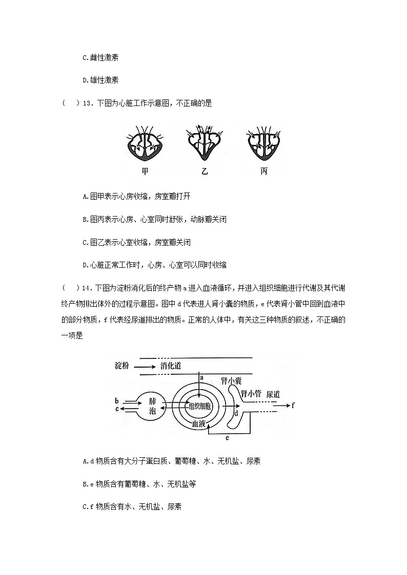 2022年广东省初中学业水平考试综合模拟卷（一）生物试卷(word版含答案)03
