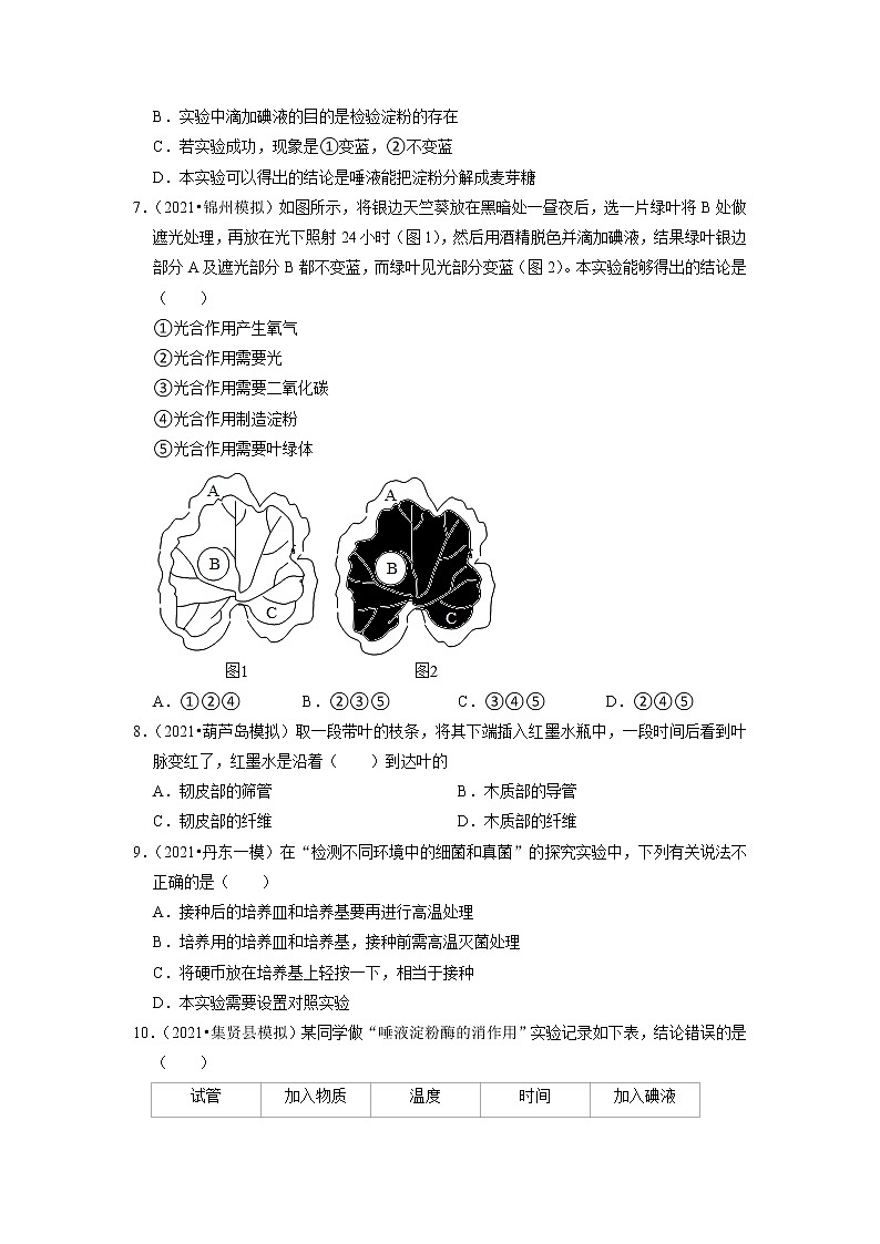 2022年辽宁省中考生物二轮专题练10-生物实验03