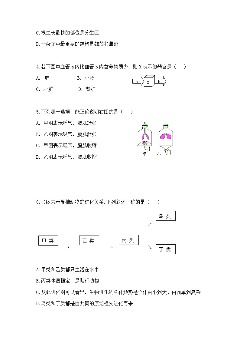 2022年湖南省永州市宁远县初中学业水平考试模拟生物试题（一）(word版含答案)02