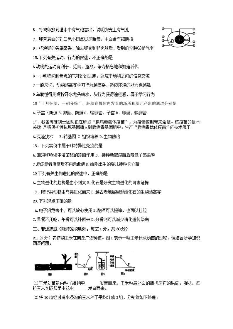 2022年河南省商丘市梁园区八年级普通高中招生考试生物模拟试卷（二）(word版无答案)03
