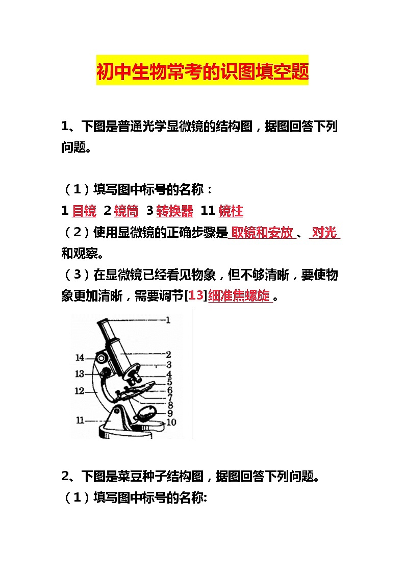 初中生物常考的识图填空题(含答案)01