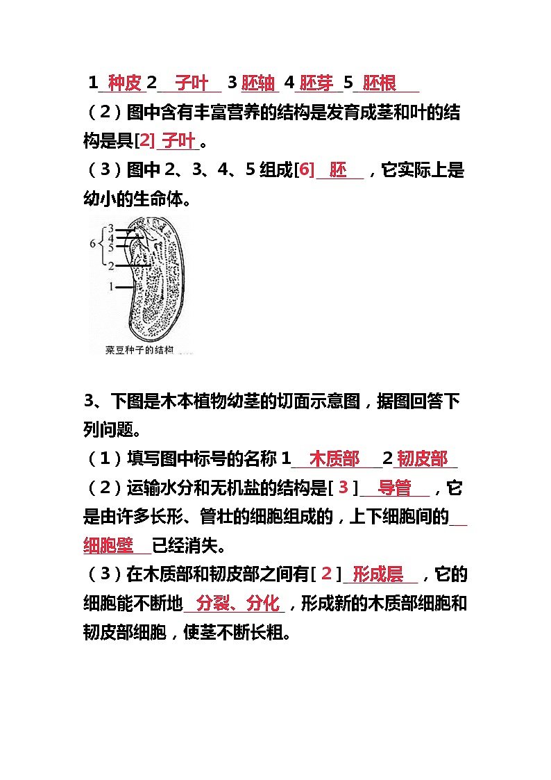 初中生物常考的识图填空题(含答案)02